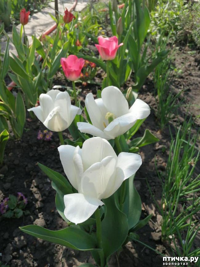 ���� 23: ���