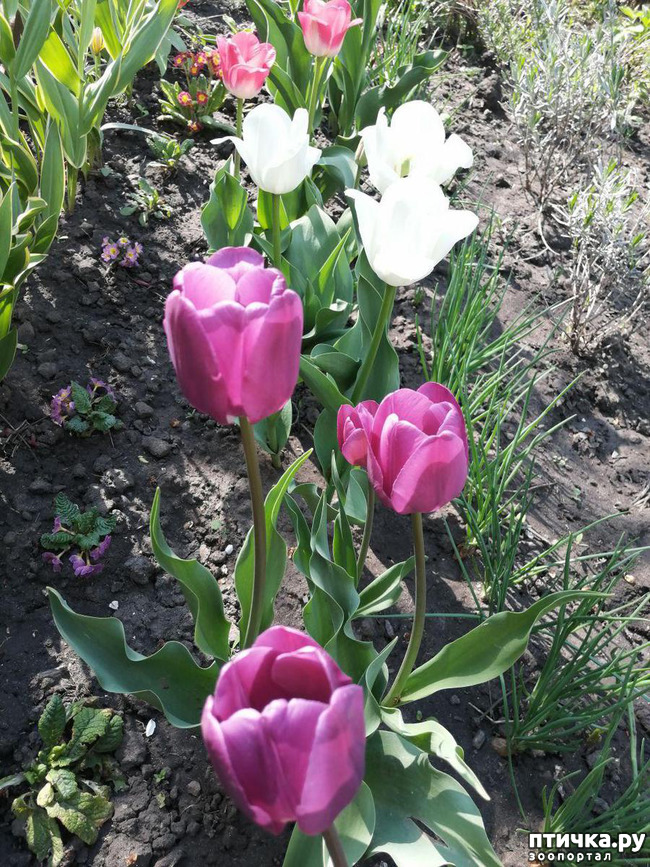 ���� 24: ���