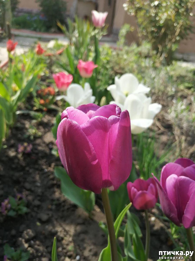 ���� 25: ���