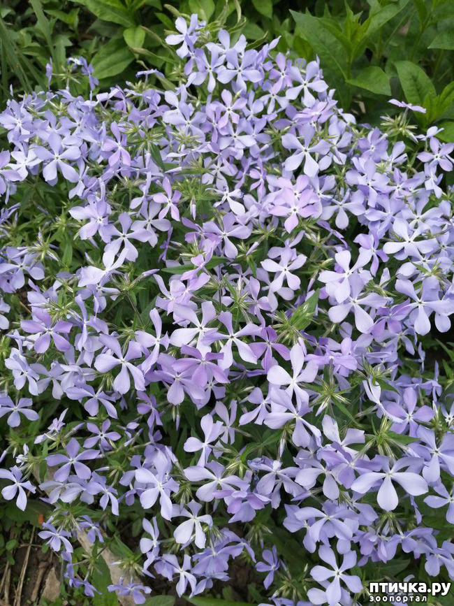 ���� 27: ���