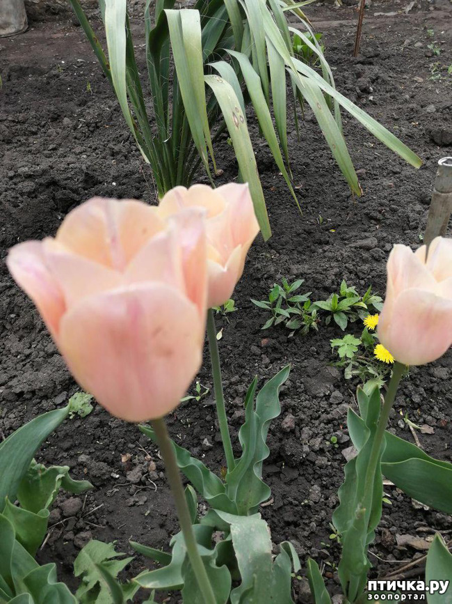 ���� 28: ���