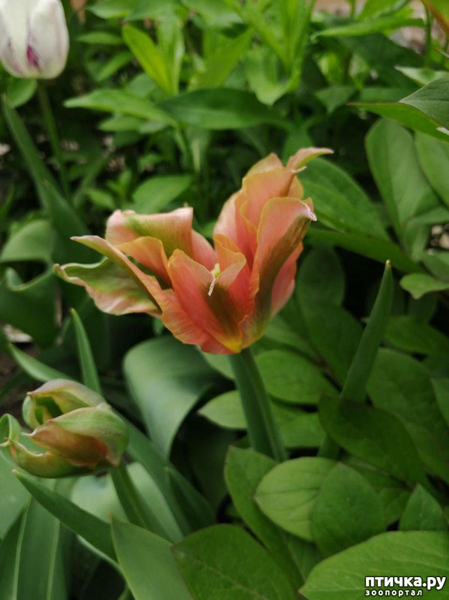 ���� 30: ���