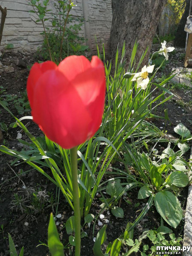 ���� 32: ���