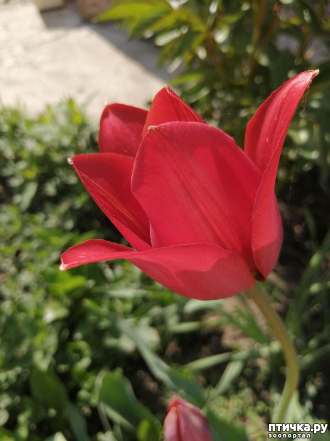 ���� 33: ���