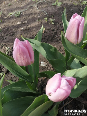 ����: ���