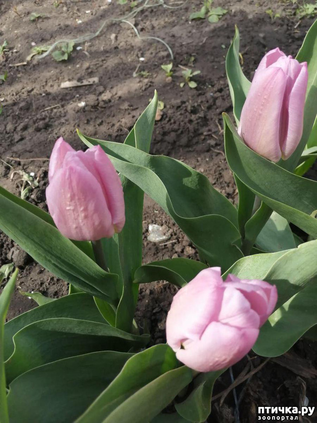 ���� 1: ���