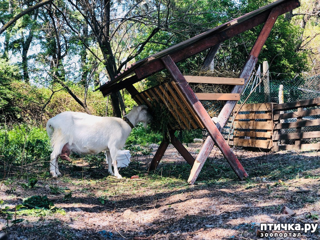 ���� 3: ����� ��������