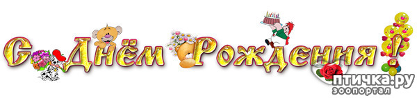 ���� 1: �������, �������� ���, � ���� �������� ����, �������!