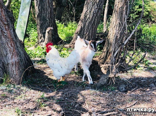 ���� 4: ����� ��������