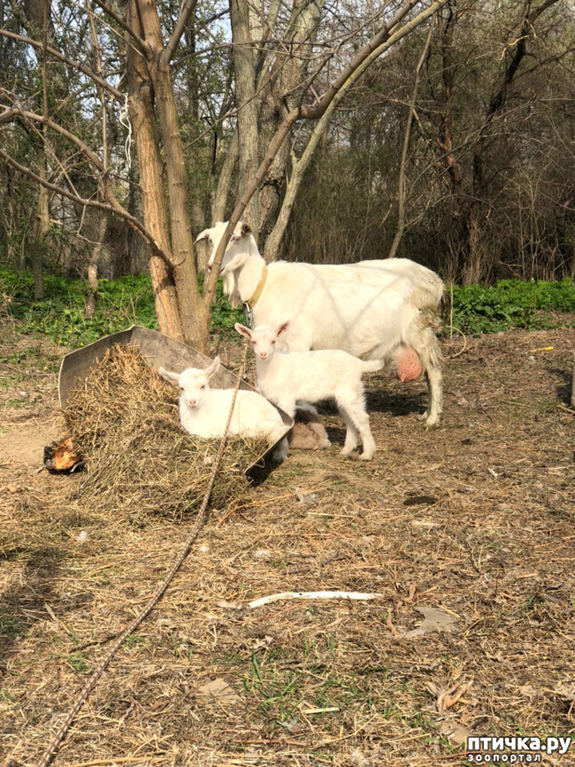 ���� 5: ����� ��������