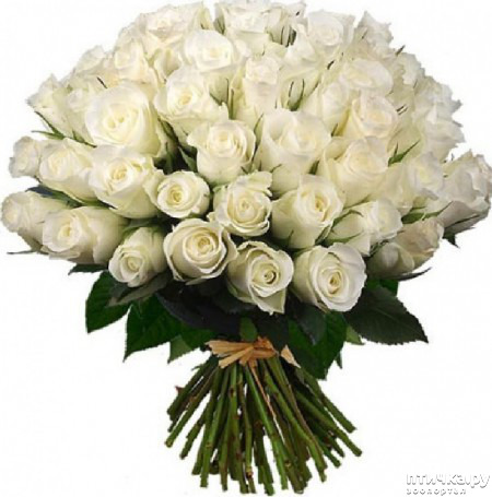 ���� 3: �������, �������� ���, � ���� �������� ����, �������!