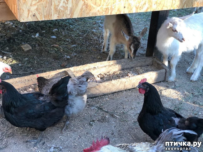 ���� 6: ����� ��������