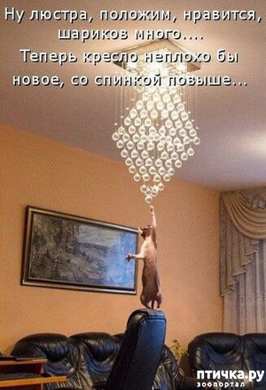 фотография: Немного юмора фото: Немного юмора