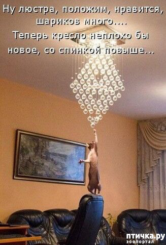 ���� 1: ������� �����