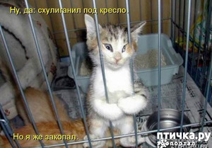 ����: � ����, � ����