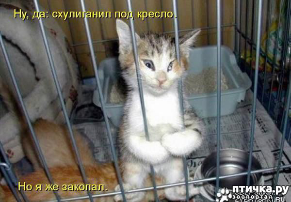 ���� 1: � ����, � ����