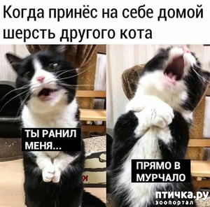 фотография: Жизненно фото: Жизненно