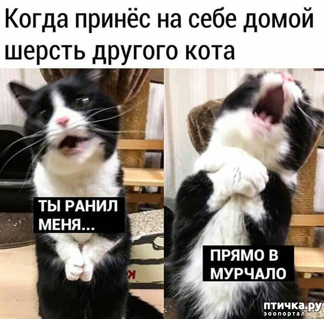 ���� 1: ��������