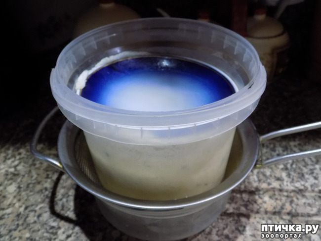 ���� 5: �������? �������� ��������. �������� ���.