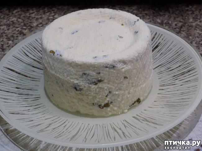 ���� 7: �������? �������� ��������. �������� ���.