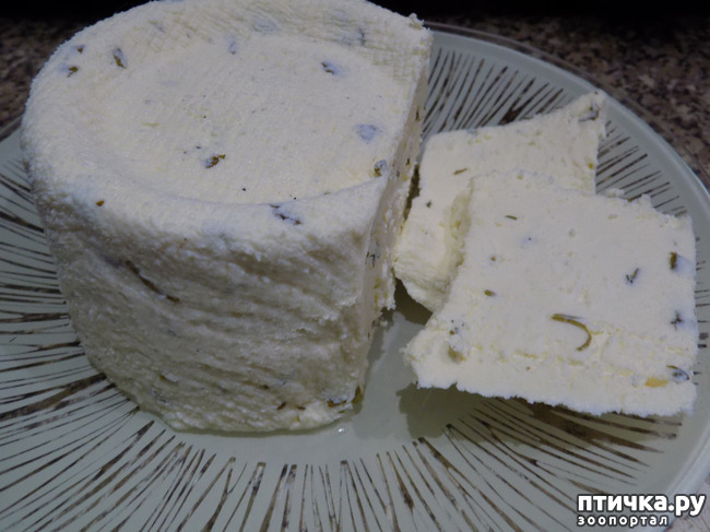 ���� 8: �������? �������� ��������. �������� ���.