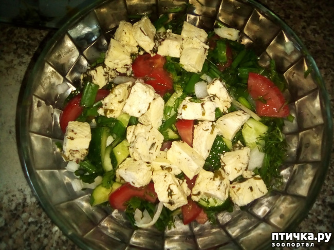 ���� 9: �������? �������� ��������. �������� ���.