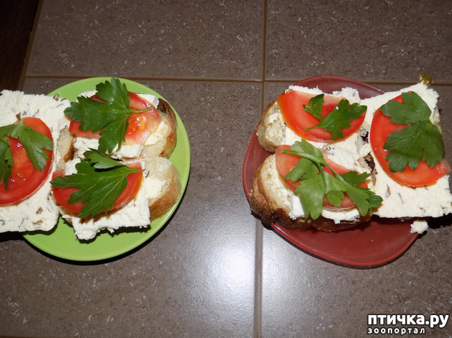 ���� 10: �������? �������� ��������. �������� ���.