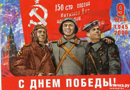 ���� 7: � ����������� ����������! � ���� ������!