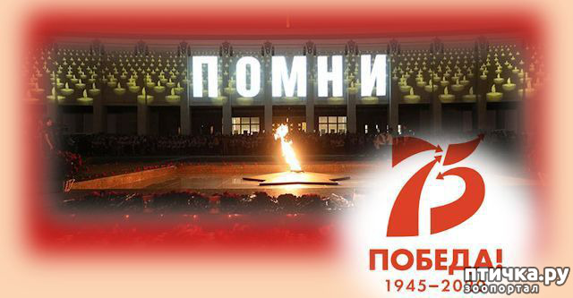 ���� 4: � ����������� ����������! � ���� ������!