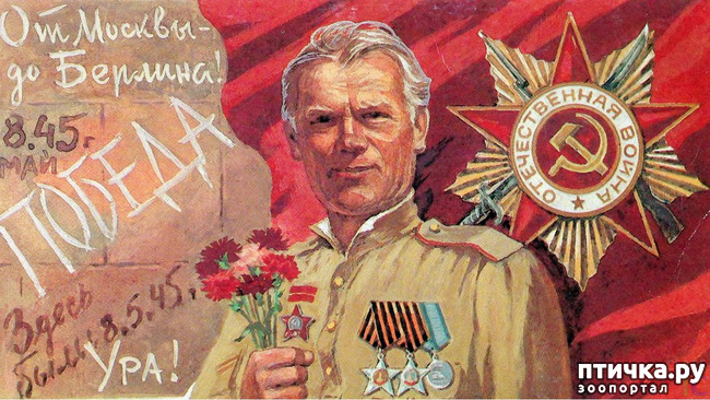 ���� 2: � ����������� ����������! � ���� ������!