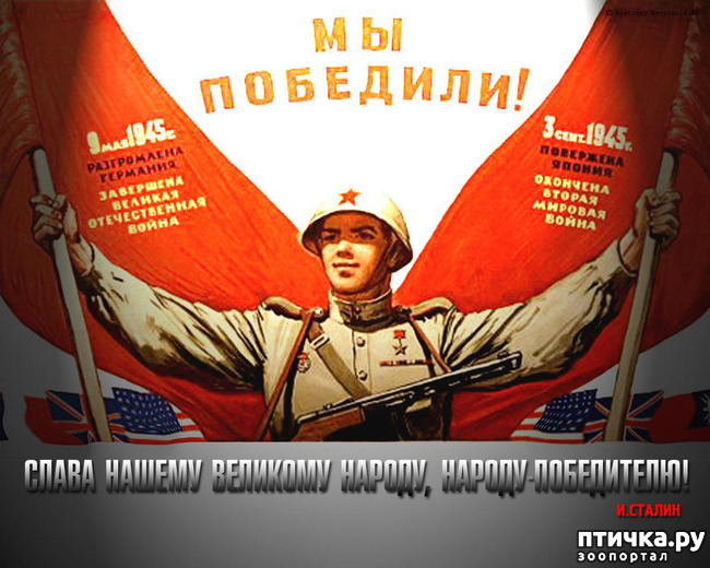 ���� 3: � ����������� ����������! � ���� ������!