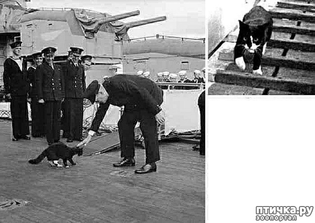 ���� 11: ������ ���� � �����