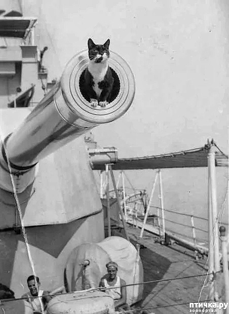 ���� 10: ������ ���� � �����