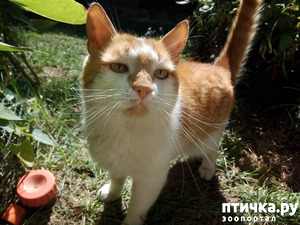 ����: ��� ������� ����� ������