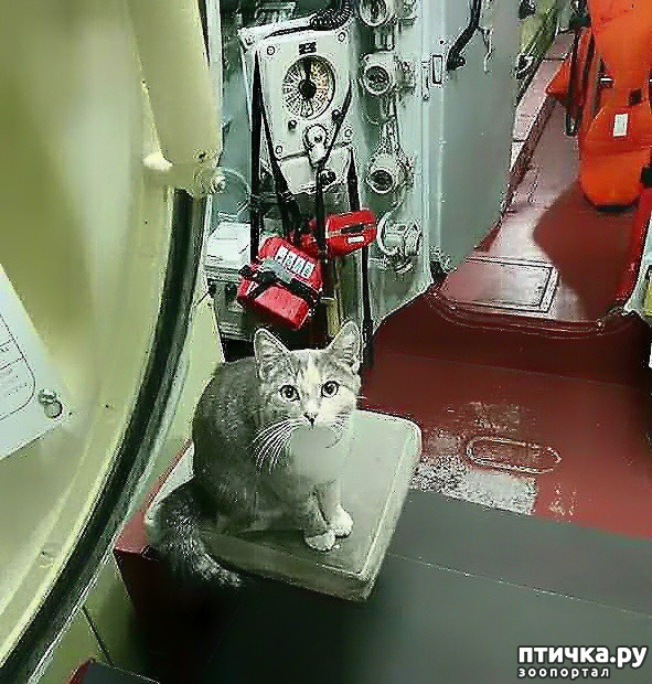 ���� 12: ������ ���� � �����