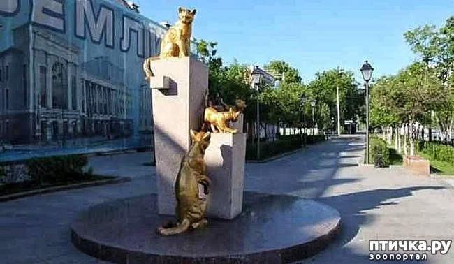 ���� 13: ������ ���� � �����