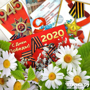 ����: � ����������, ����� "������"