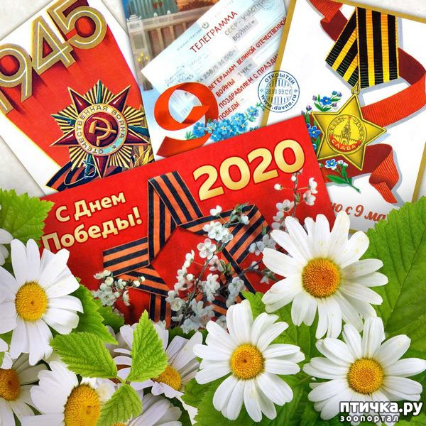 ���� 1: � ����������, ����� 