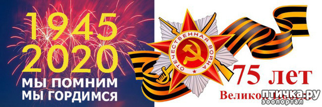 ���� 2: � ����������, ����� 