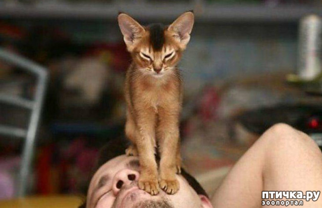 ���� 2: � �������� ������