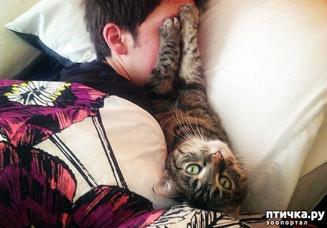 ���� 3: � �������� ������