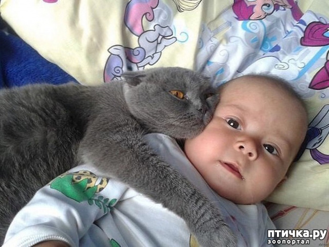 ���� 4: � �������� ������