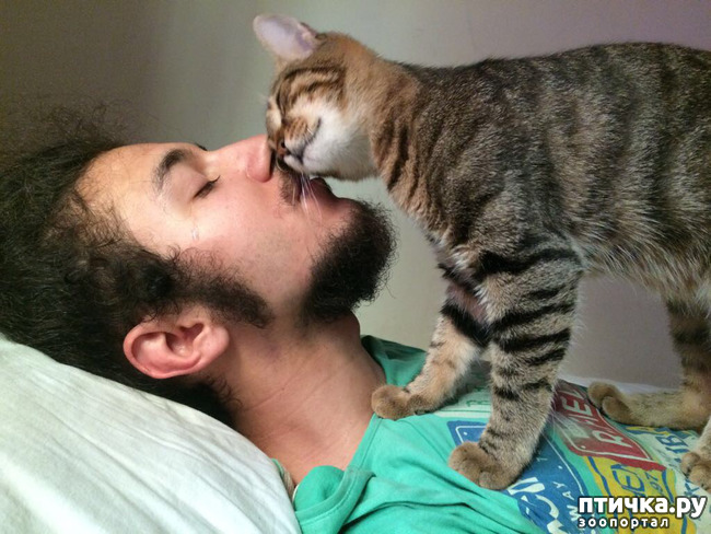 ���� 5: � �������� ������