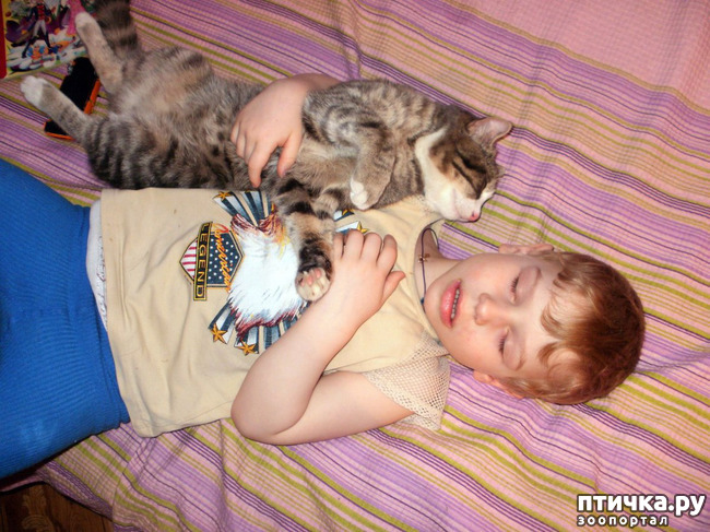 ���� 8: � �������� ������