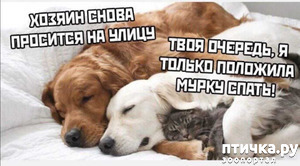 фотография: Кто бы мог подумать.. Правда жизни! фото: Кто бы мог подумать.. Правда жизни!