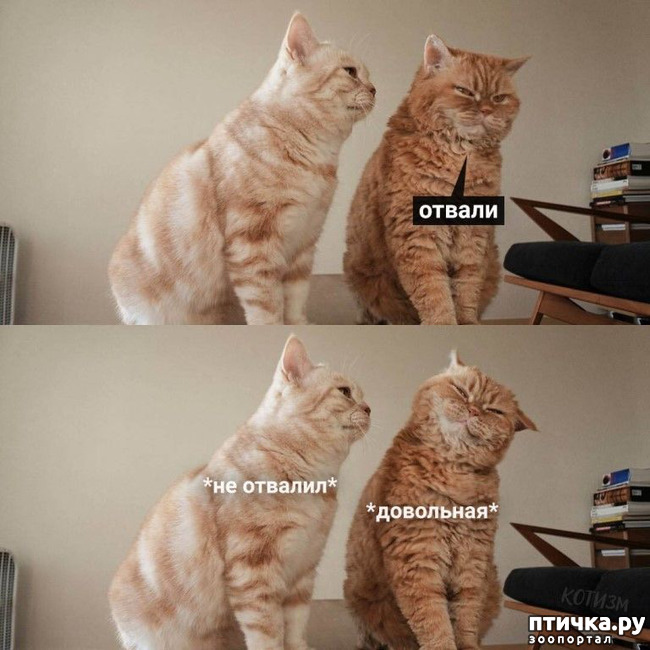 ���� 1: ������� ������� ���������