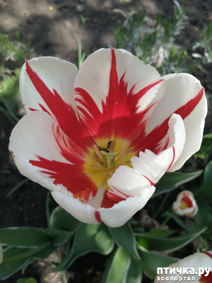 фотография: Остатки роскоши:) фото: Остатки роскоши:)