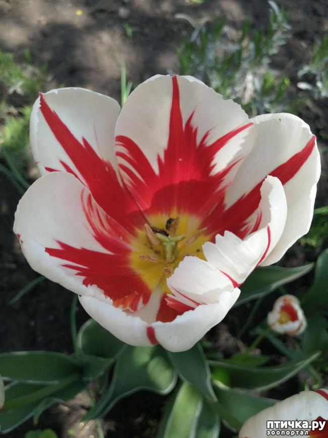 ���� 1: ������� �������:)