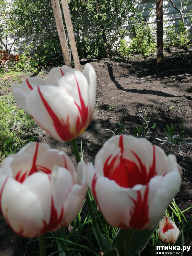 ���� 2: ������� �������:)