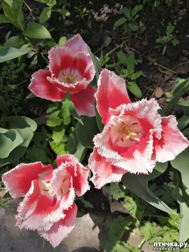 ���� 3: ������� �������:)